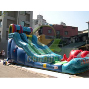 inflatable bouncer with slide